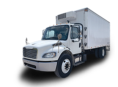 Other Trucks